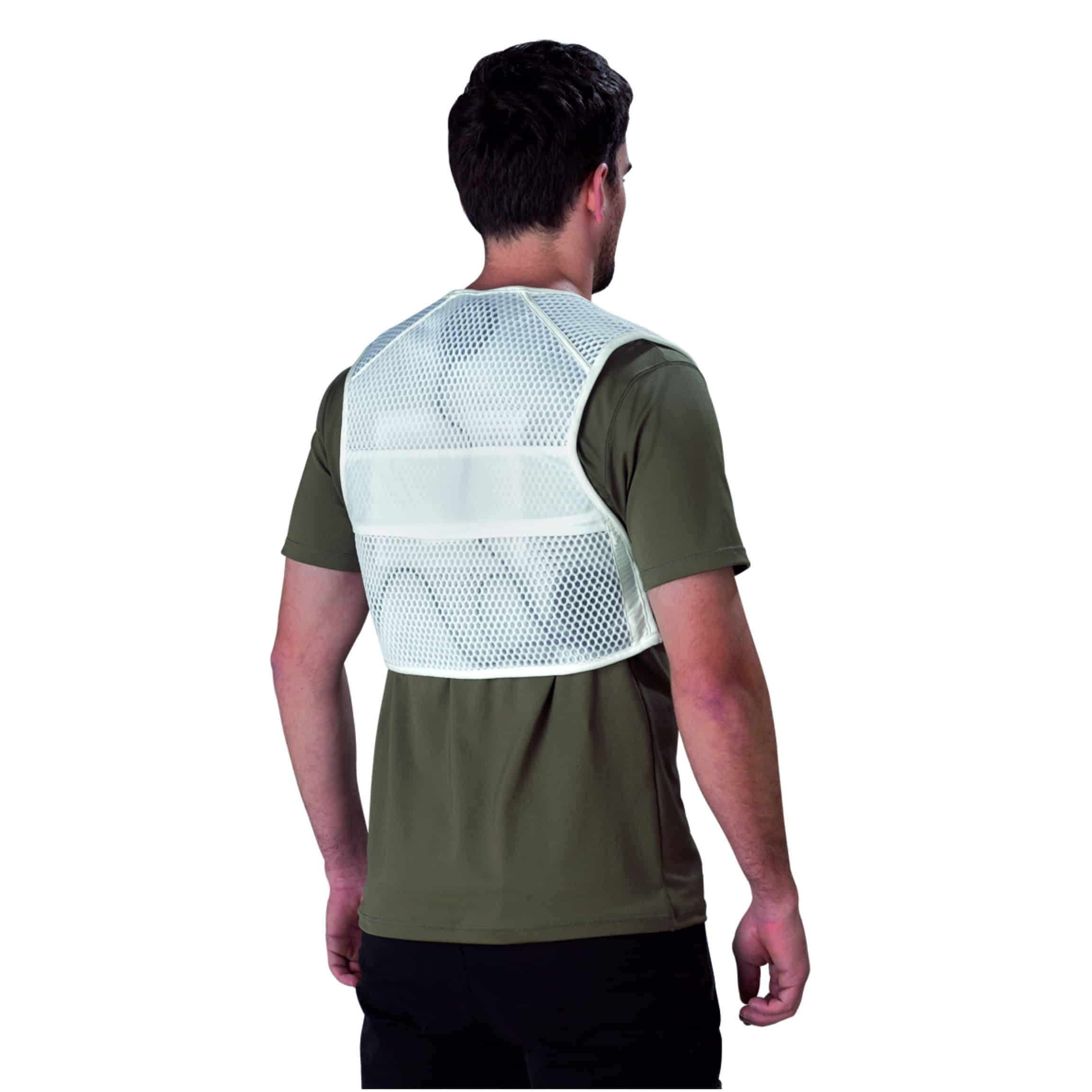 Apicultura (Copie) - Imagen 3